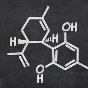 Can I overdose on CBD oil? What is the highest dose advised by doctors?