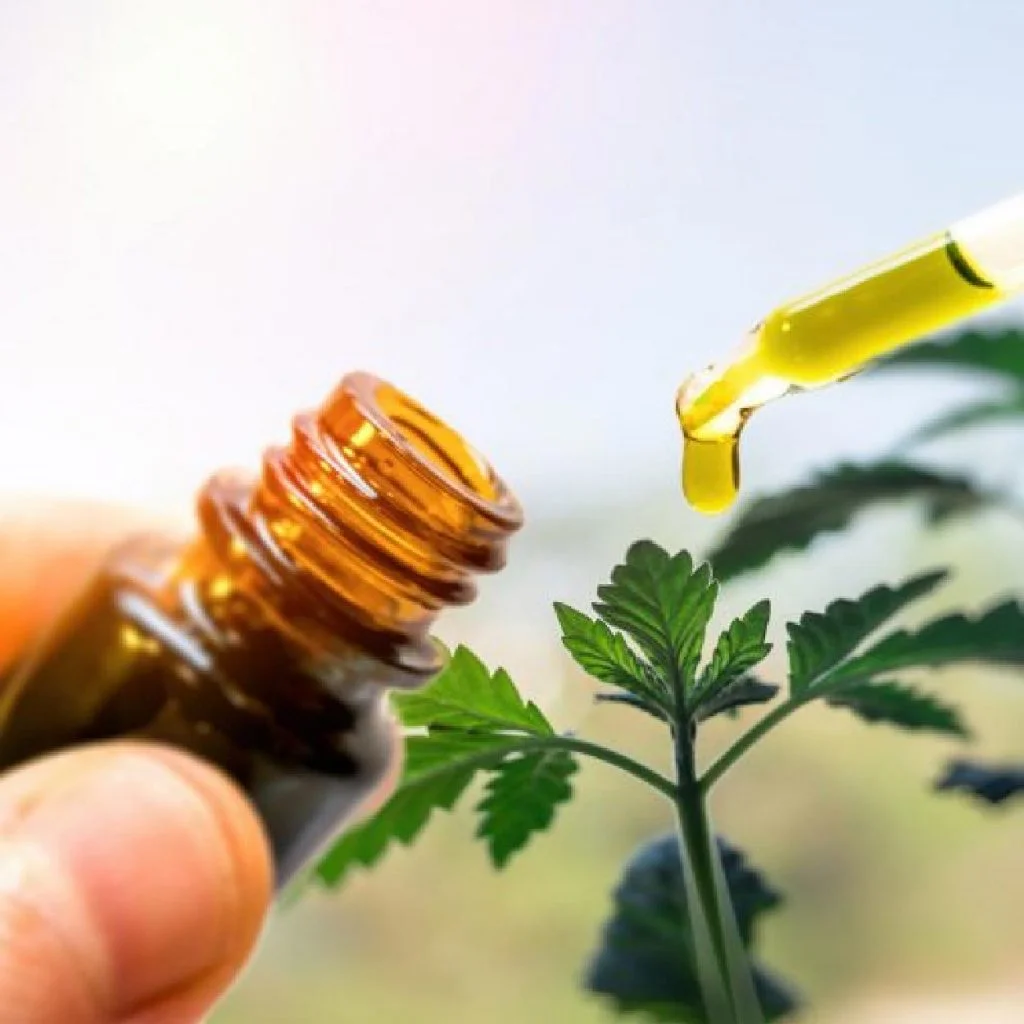 how to cbd oil