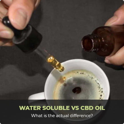 Water soluble vs CBD OIL