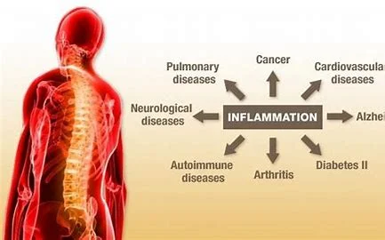 CBD for Inflammation: Natural Relief and Wellness